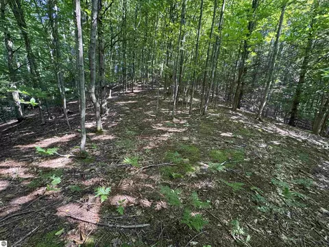lot E Apt 6 E Bellinger Rd, Cedar, MI 49621 photo 24