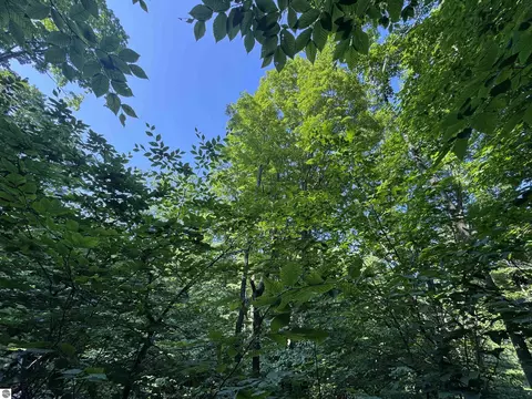lot E Apt 6 E Bellinger Rd, Cedar, MI 49621 photo 16