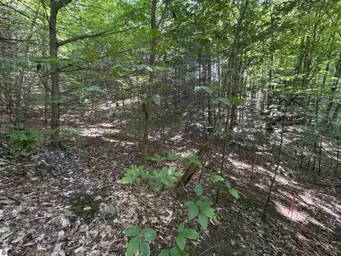 lot E Apt 6 E Bellinger Rd, Cedar, MI 49621 photo 23