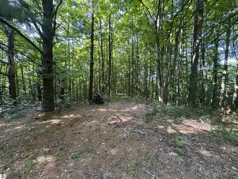 lot E Apt 6 E Bellinger Rd, Cedar, MI 49621 photo 25