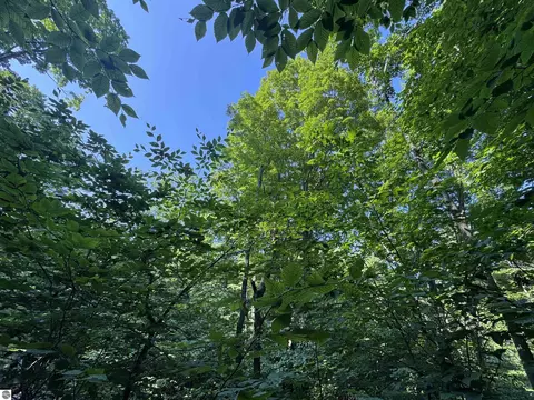 lot E Apt 6 E Bellinger Rd, Cedar, MI 49621 photo 11