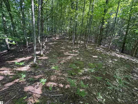 lot E Apt 6 E Bellinger Rd, Cedar, MI 49621 photo 19