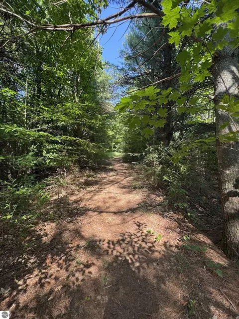 lot E Apt 6 E Bellinger Rd, Cedar, MI 49621 photo 34