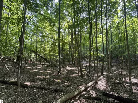 lot E Apt 6 E Bellinger Rd, Cedar, MI 49621 photo 23