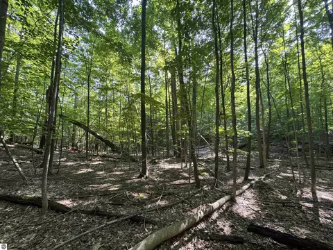 lot E Apt 6 E Bellinger Rd, Cedar, MI 49621 photo 28