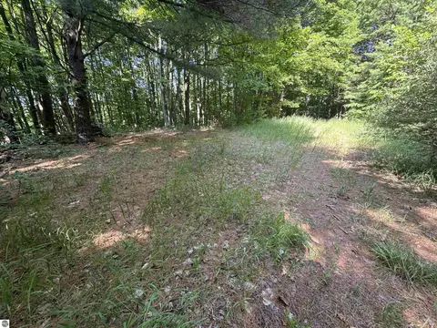 lot E Apt 6 E Bellinger Rd, Cedar, MI 49621 photo 15