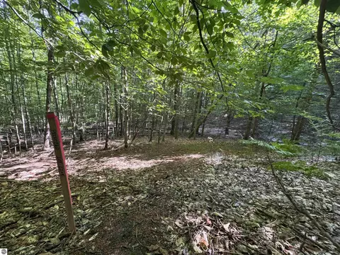 lot E Apt 6 E Bellinger Rd, Cedar, MI 49621 photo 30