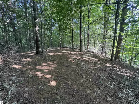 lot E Apt 6 E Bellinger Rd, Cedar, MI 49621 photo 22