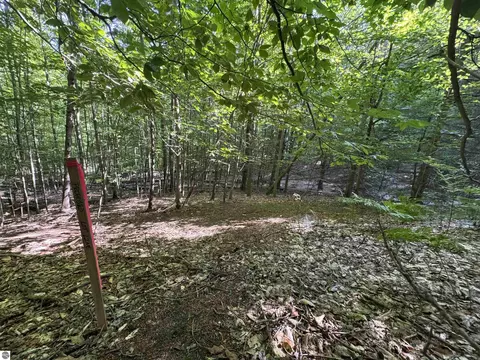 lot E Apt 6 E Bellinger Rd, Cedar, MI 49621 photo 25