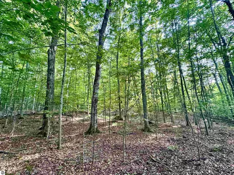 950 E Sullivan Woods, Cedar, MI 49621 photo 38