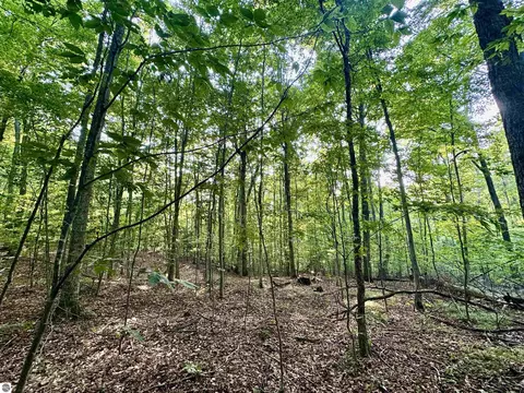 950 E Sullivan Woods, Cedar, MI 49621 photo 40