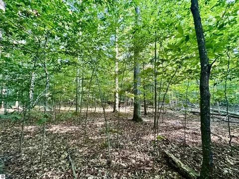 950 E Sullivan Woods, Cedar, MI 49621 photo 3