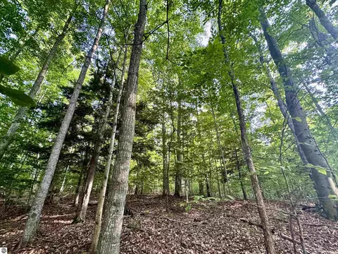 950 E Sullivan Woods, Cedar, MI 49621 photo 37