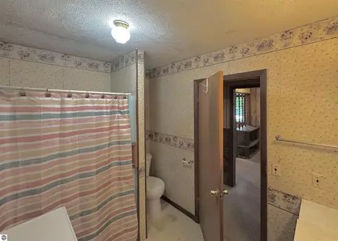 950 E Sullivan Woods, Cedar, MI 49621 photo 17