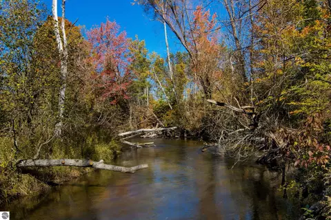 Parcels A Wild River Way, Thompsonville, MI 49683