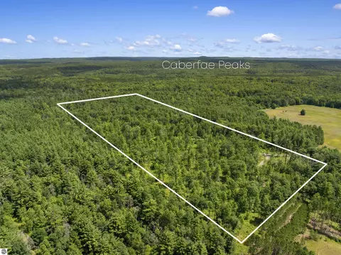 30 W Acres W 48 12 Rd, Wellston, MI 49689