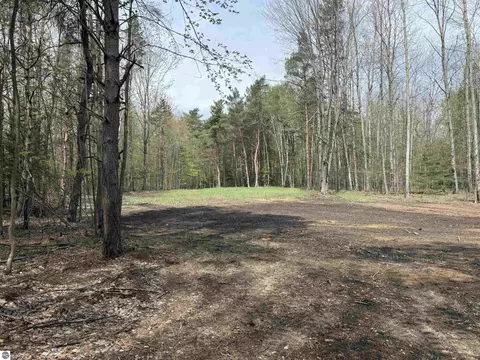 6639 Fall Rd, Grawn, MI 49637 photo 10