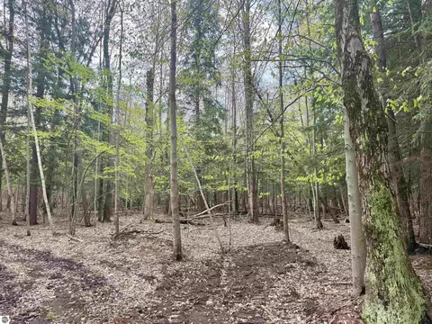 6639 Fall Rd, Grawn, MI 49637 photo 26