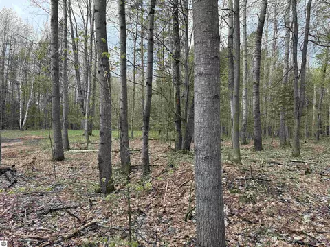 6639 Fall Rd, Grawn, MI 49637 photo 35