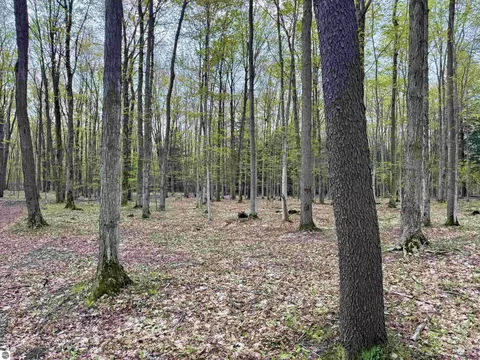 6639 Fall Rd, Grawn, MI 49637 photo 20