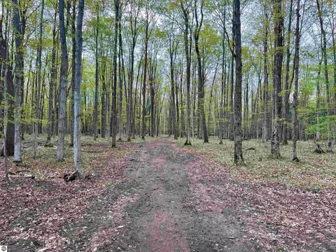 6639 Fall Rd, Grawn, MI 49637 photo 11