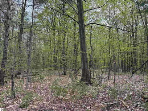 6639 Fall Rd, Grawn, MI 49637 photo 46
