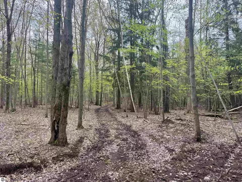 6639 Fall Rd, Grawn, MI 49637 photo 25