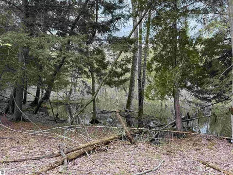 6639 Fall Rd, Grawn, MI 49637 photo 34