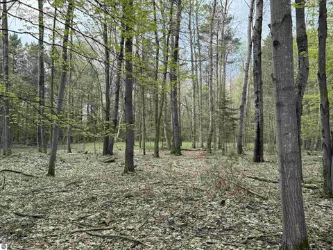 6639 Fall Rd, Grawn, MI 49637 photo 31