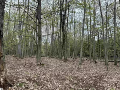 6639 Fall Rd, Grawn, MI 49637 photo 37