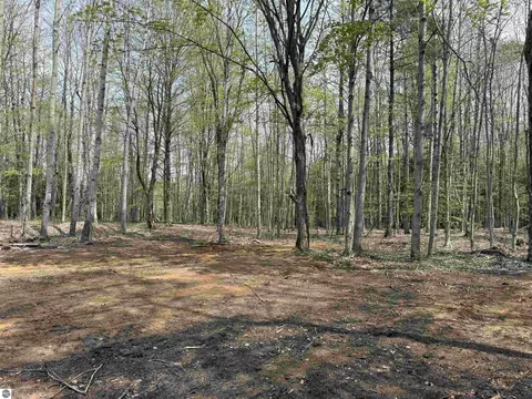 6639 Fall Rd, Grawn, MI 49637 photo 40