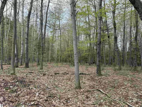 6639 Fall Rd, Grawn, MI 49637 photo 36