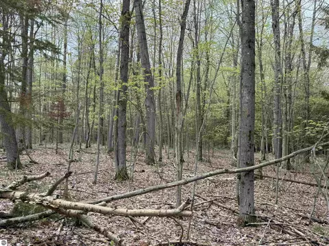6639 Fall Rd, Grawn, MI 49637 photo 32