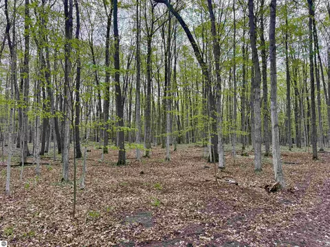 6639 Fall Rd, Grawn, MI 49637 photo 15