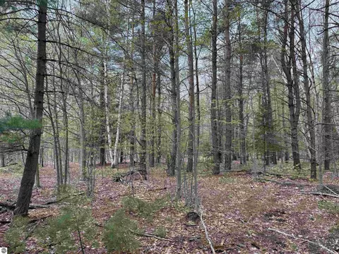6639 Fall Rd, Grawn, MI 49637 photo 47