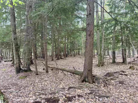 6639 Fall Rd, Grawn, MI 49637 photo 22