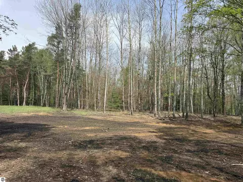 6639 Fall Rd, Grawn, MI 49637 photo 41