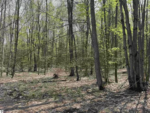 6639 Fall Rd, Grawn, MI 49637 photo 38