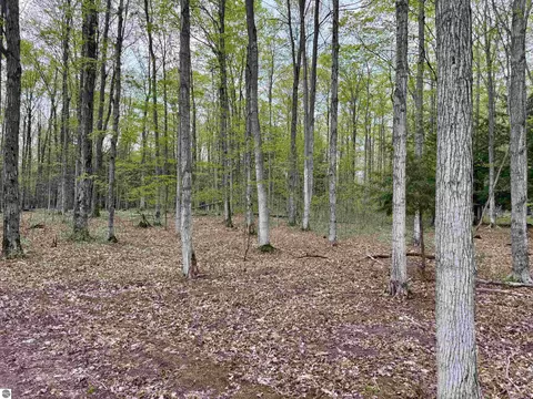 6639 Fall Rd, Grawn, MI 49637 photo 17