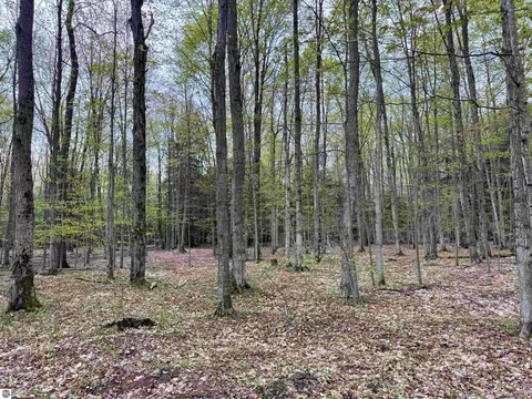 6639 Fall Rd, Grawn, MI 49637 photo 19