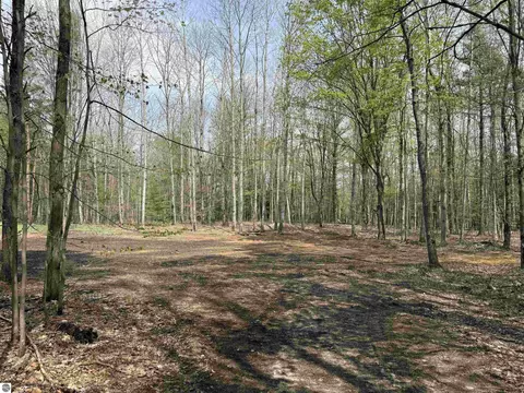 6639 Fall Rd, Grawn, MI 49637 photo 42