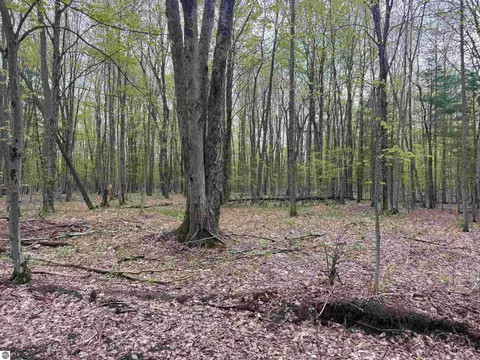 6639 Fall Rd, Grawn, MI 49637 photo 23