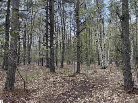6639 Fall Rd, Grawn, MI 49637 photo 43