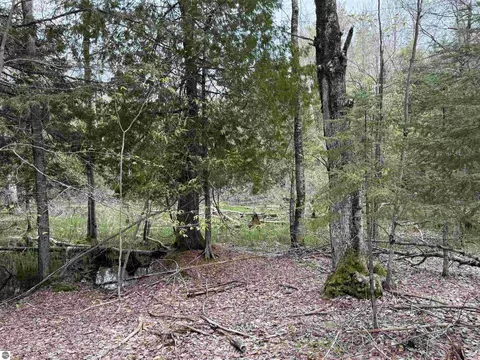 6639 Fall Rd, Grawn, MI 49637 photo 33