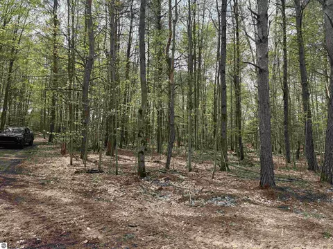 6639 Fall Rd, Grawn, MI 49637 photo 39
