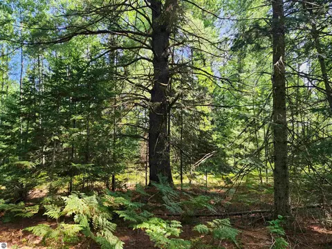 10 Acres Christie Dr, Kalkaska, MI 49646