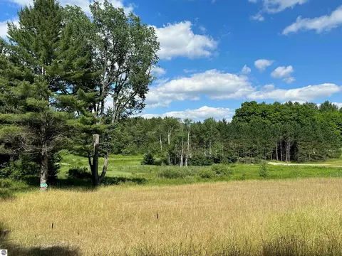 NW, Williamsburg, MI 49690 photo 6