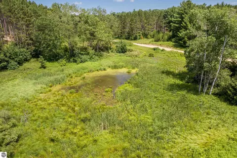 NW, Williamsburg, MI 49690 photo 8