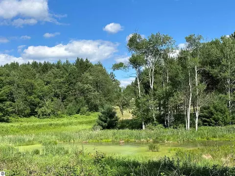 NW, Williamsburg, MI 49690 photo 5