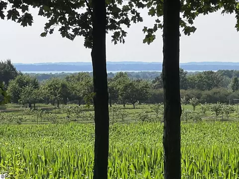 lot7 Morgan Cir, Kewadin, MI 49648